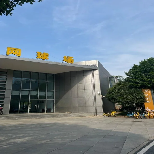 汤尤杯备战策略升级，中国队全力冲刺新目标